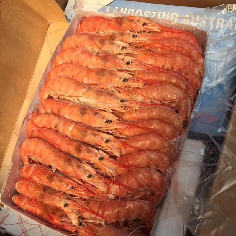 阿根廷红虾
