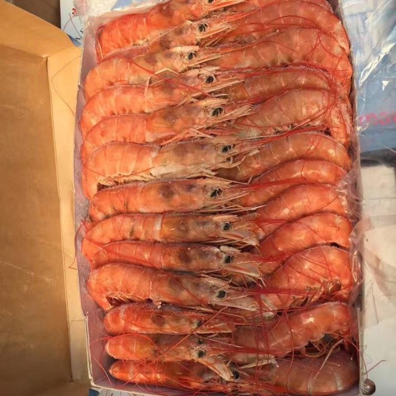阿根廷红虾