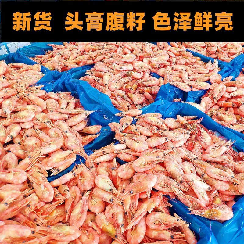 阿根廷红虾