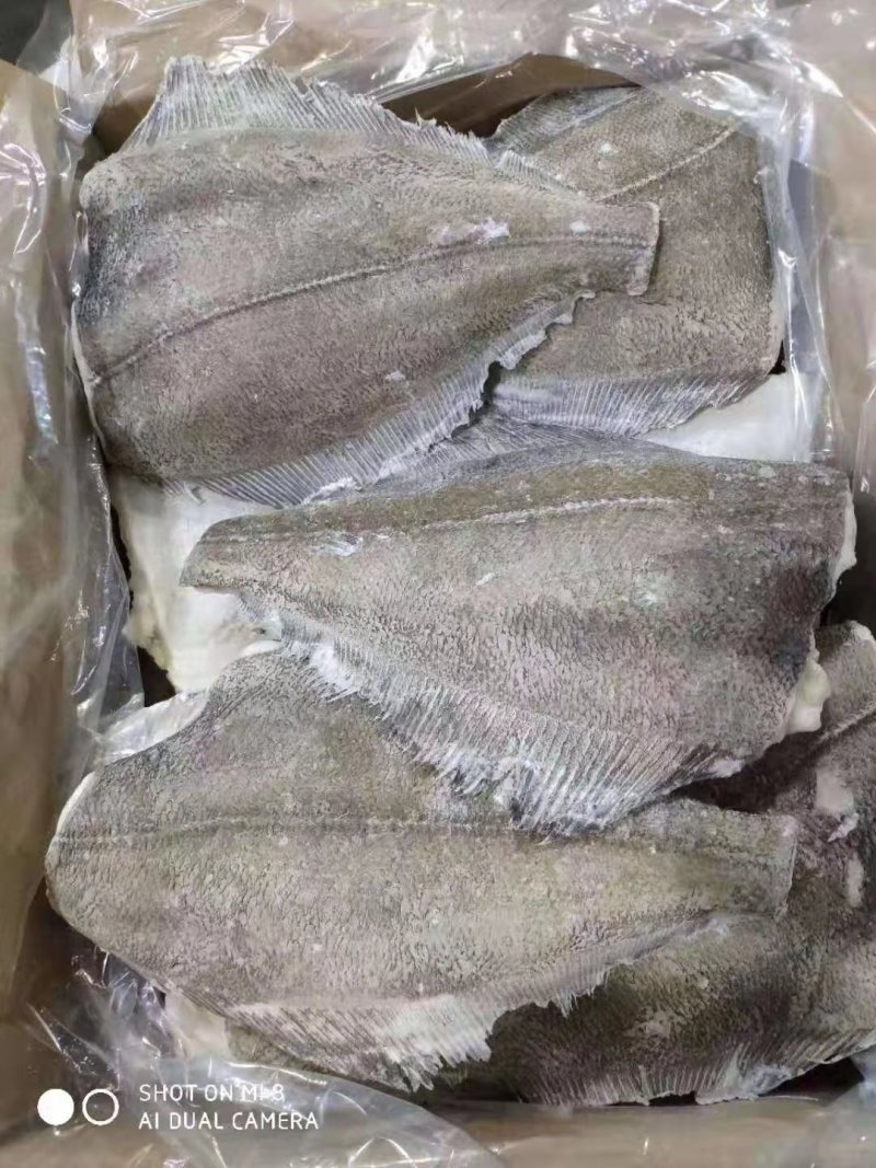勘察加鲽鱼身