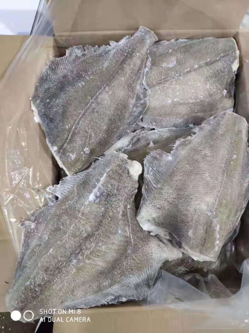 勘察加鲽鱼身