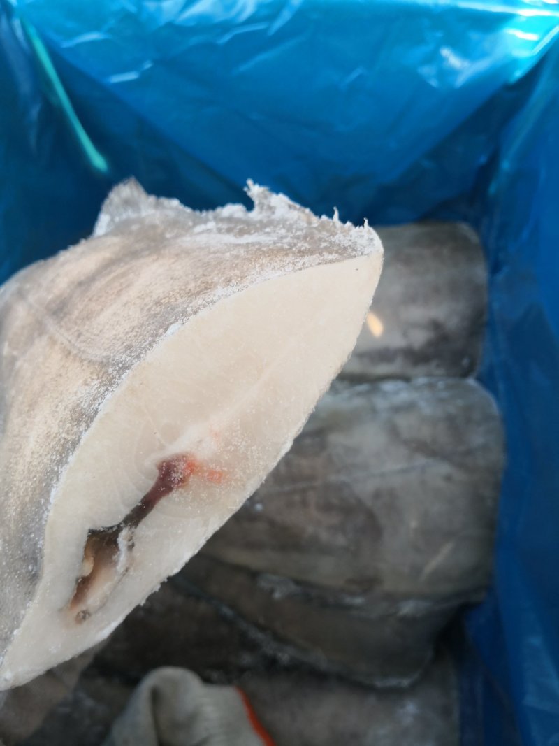 格陵兰单冻鲽鱼身，鱼身原料