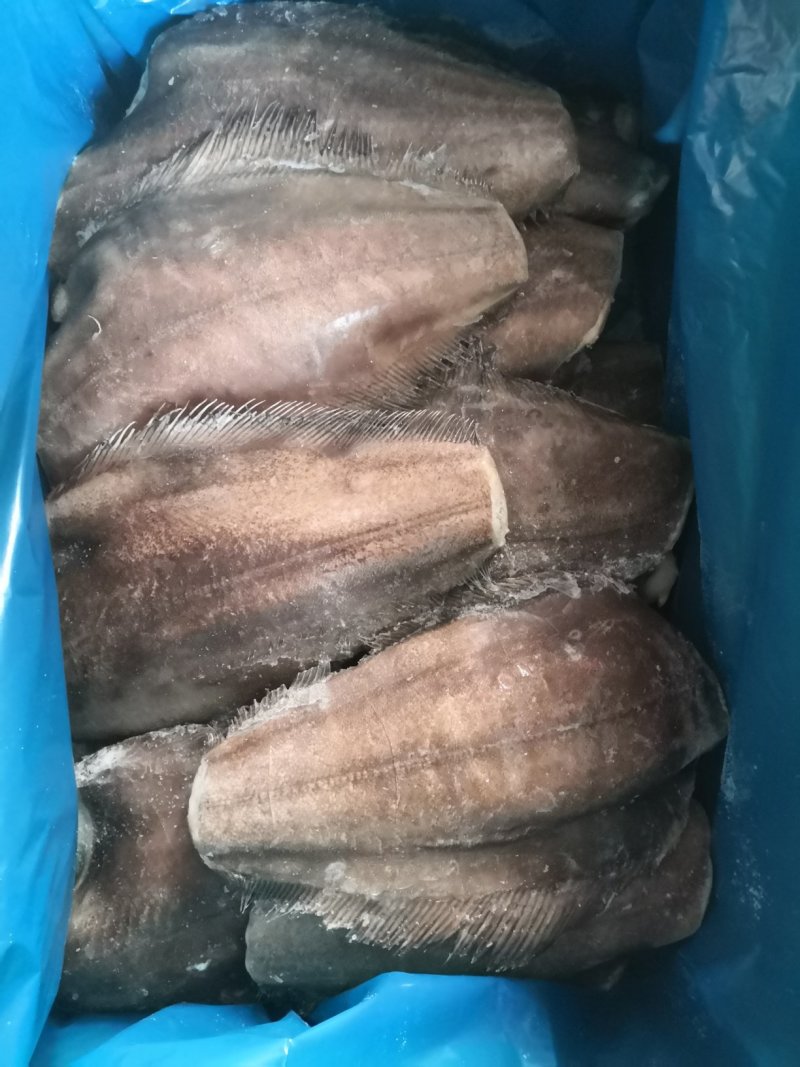 格陵兰单冻鲽鱼身，鱼身原料