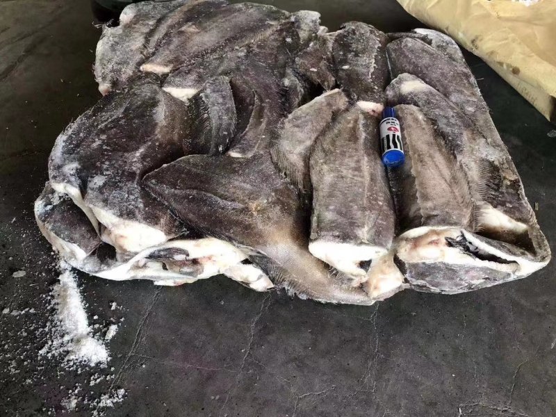 格陵兰单冻鲽鱼身，鱼身原料