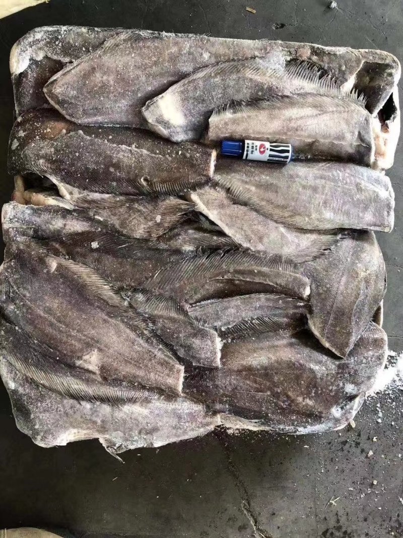 格陵兰单冻鲽鱼身，鱼身原料