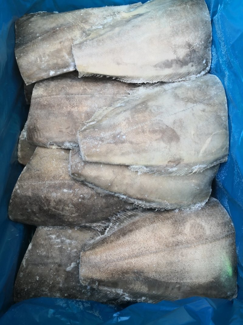 格陵兰单冻鲽鱼身，鱼身原料