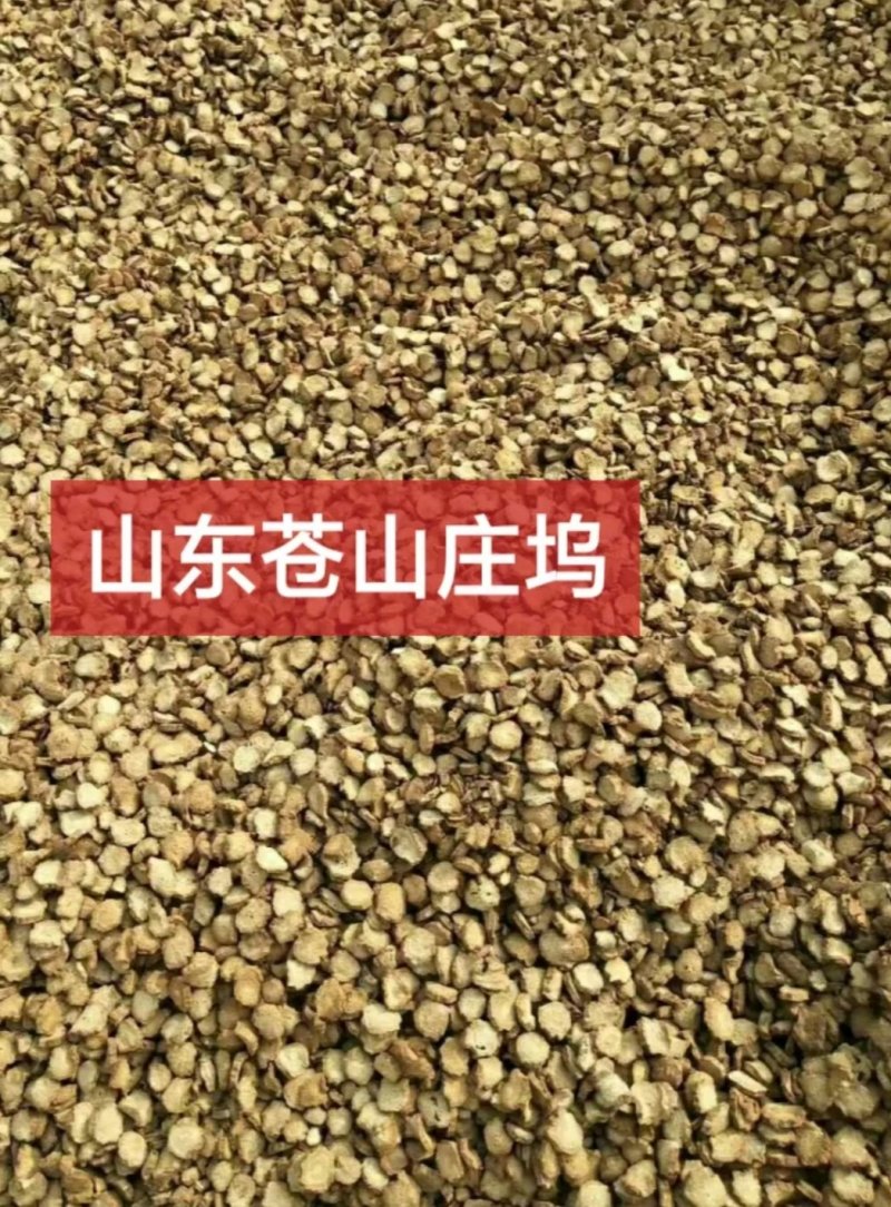 牛蒡，兰陵牛蒡，各规格，量大，产地直销