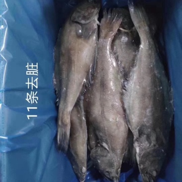 格陵兰整条分装精选单冻鲽鱼
