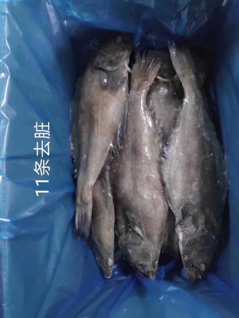 格陵兰整条分装精选单冻鲽鱼