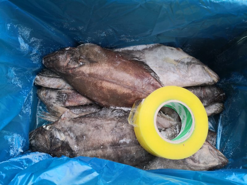 格陵兰整条分装精选单冻鲽鱼