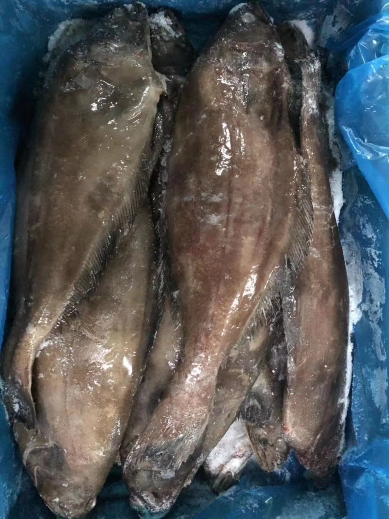 格陵兰整条分装精选单冻鲽鱼