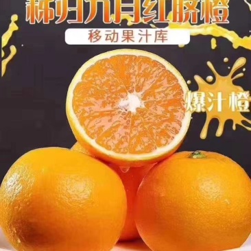 精品九月红脐橙，皮毛细，口感纯甜，易滑渣，新鲜直达