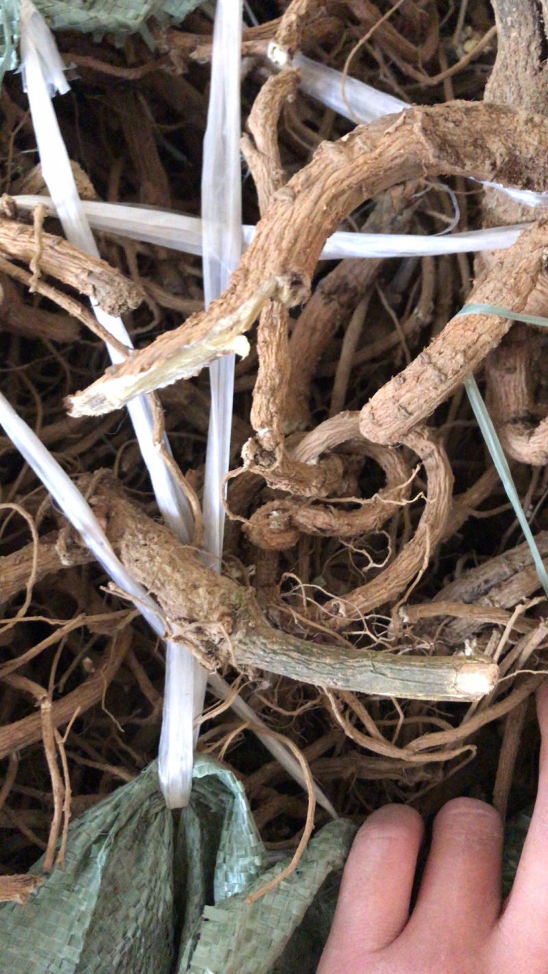 纯野生精品不带杨枝山豆根