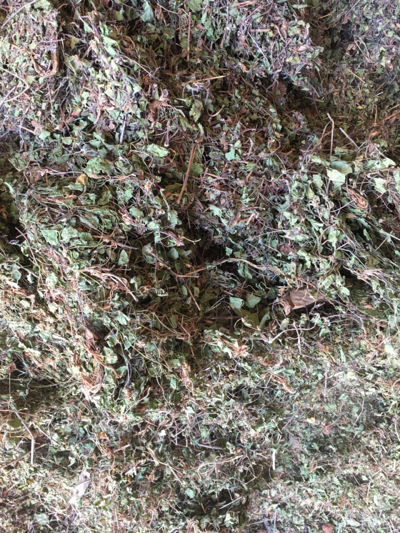纯野生积雪草，机压包，散包均有