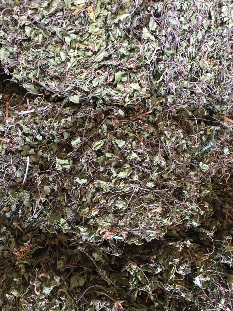 纯野生积雪草，机压包，散包均有