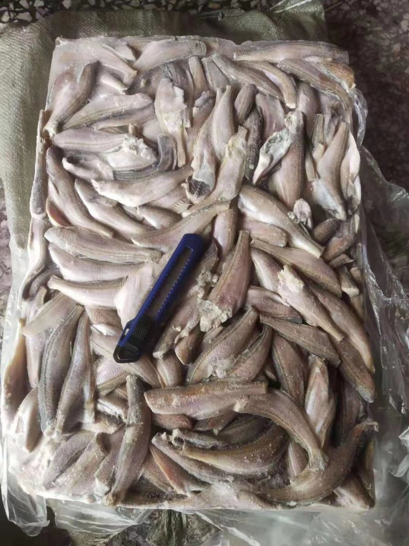 三去雷鱼价格便宜肉质鲜嫩