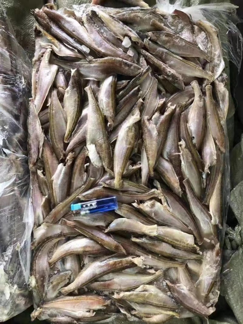 三去雷鱼价格便宜肉质鲜嫩