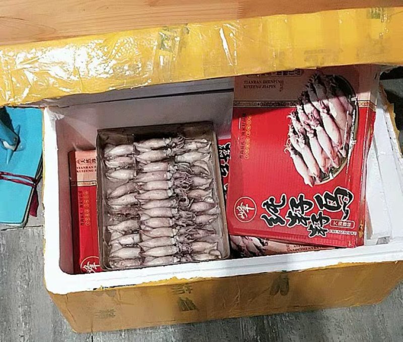 新鲜满籽籽乌笔管鱼鲜活冷冻水产海兔子全籽乌贼海鲜饭店商用