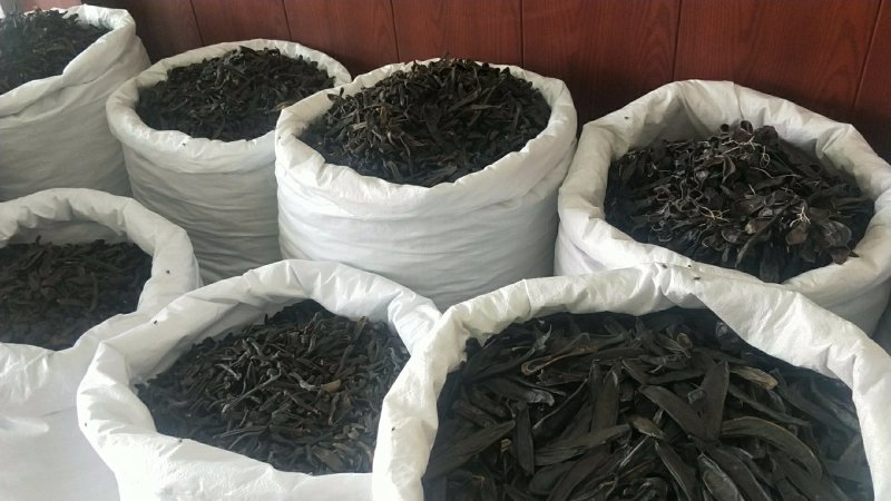 中药材野生水蛭蚂蟥干东北小水蛭