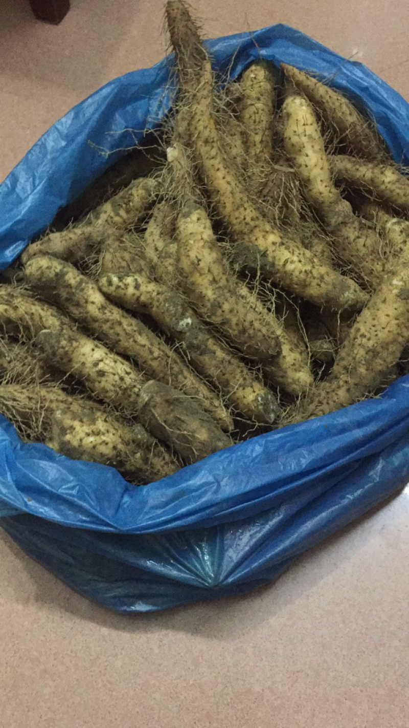 姜薯正宗潮汕胶己人姜薯