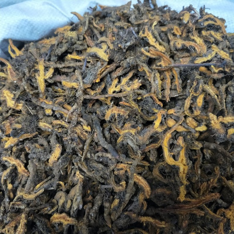 黄连四川黄连鸡爪川黄连黄连片味极苦