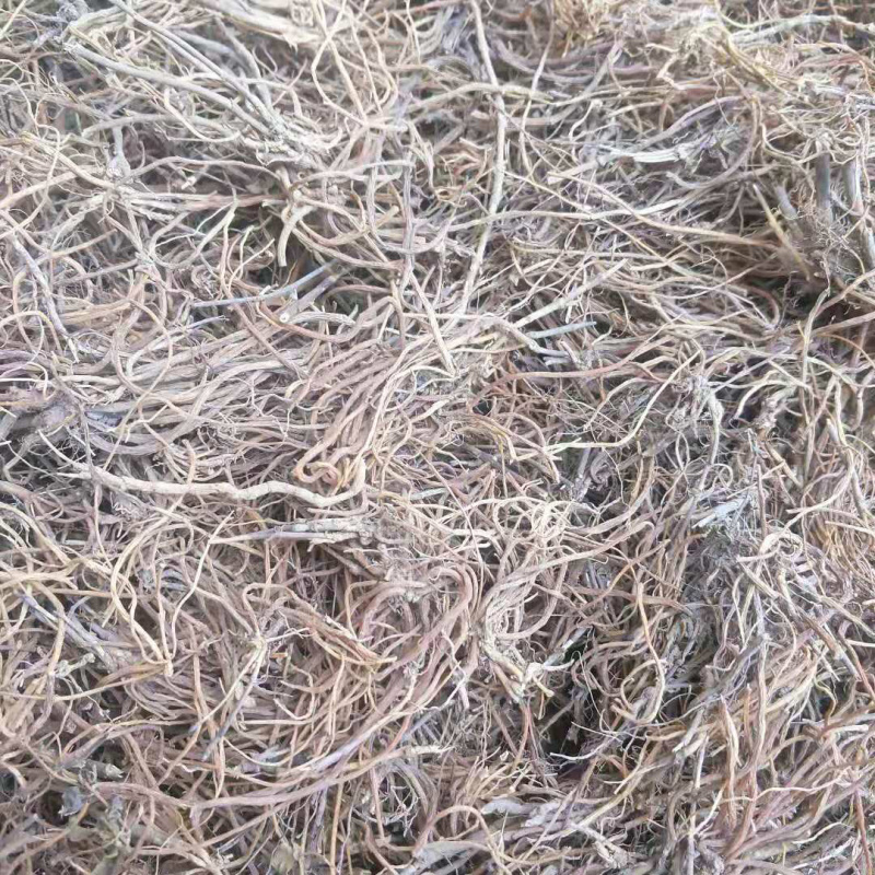 纯野生云南本地龙胆草，统货带少许杨枝