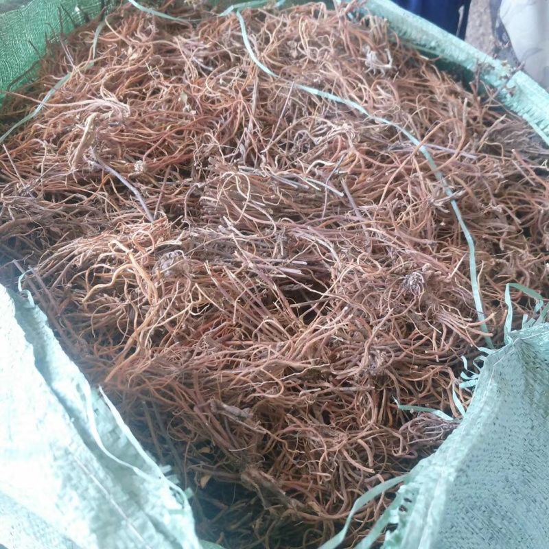 纯野生云南本地龙胆草，统货带少许杨枝
