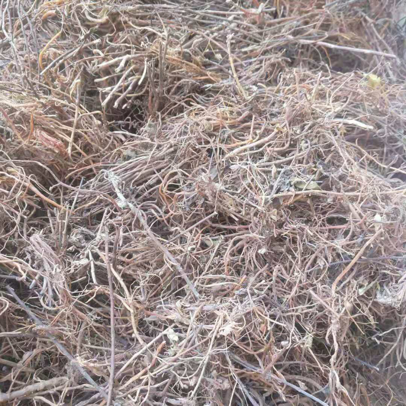纯野生云南本地龙胆草，统货带少许杨枝