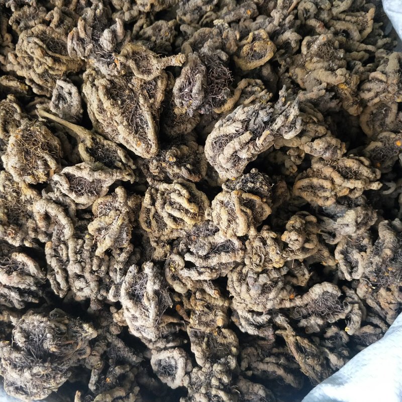 新货黄连片黄莲无硫薰鸡爪黄连粉