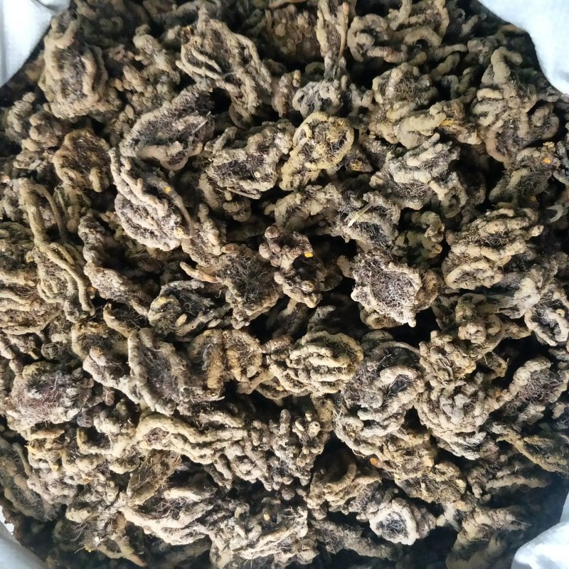 新货黄连片黄莲无硫薰鸡爪黄连粉