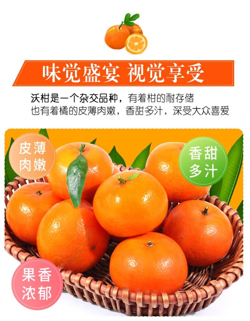 【广西武鸣沃柑】爆甜爆汁现摘现发9斤非茂谷柑新鲜水果一件