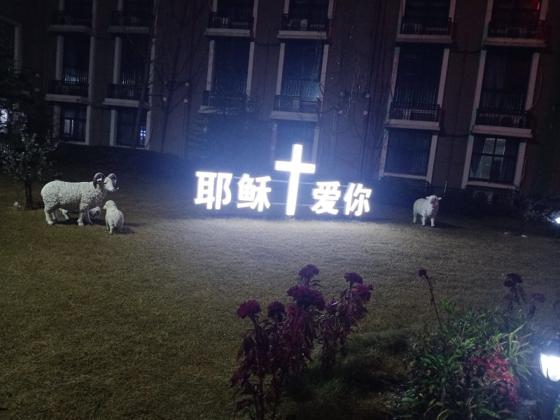 红薯粉丝