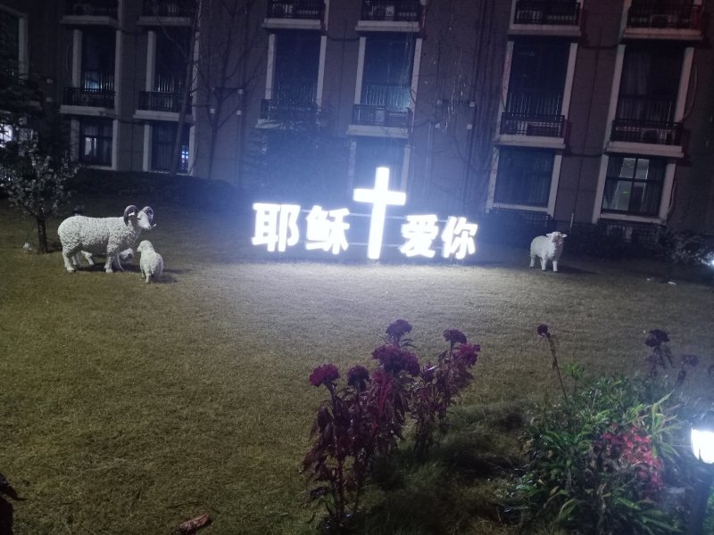 红薯粉丝