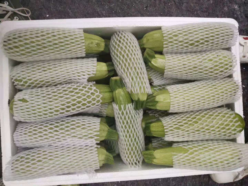 精品西葫芦。产地直销，一手货源，质量保证