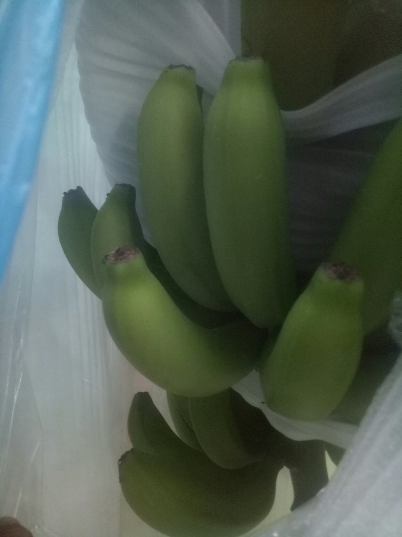 场地直供