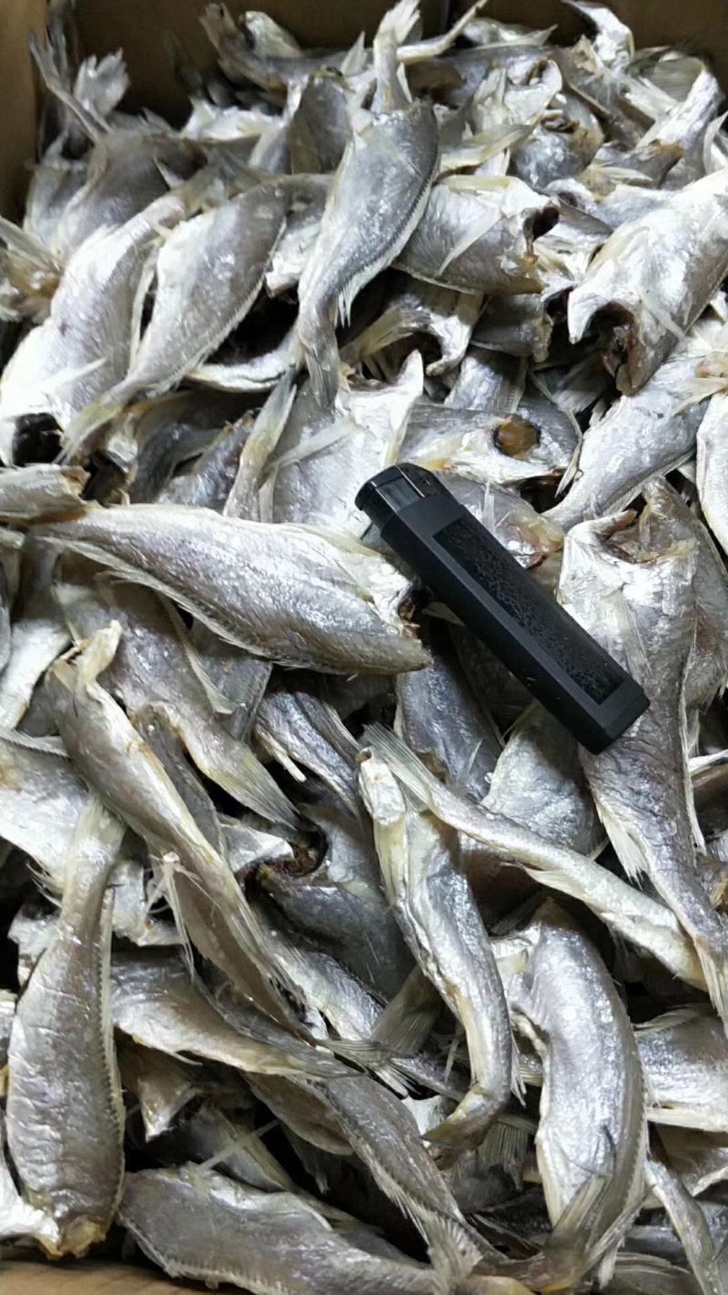 渤海湾小黄花鱼干，口感相当好哦货量充足欢迎采购
