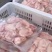 7斤至20斤大号花白鲢鱼鱼泡内肚大量批发