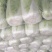 北京三号北京三号长白菜。产地直发，量大从优，质量很好