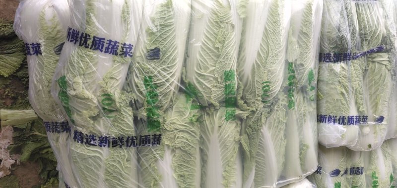 北京三号北京三号长白菜。产地直发，量大从优，质量很好