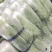 北京三号北京三号长白菜。产地直发，量大从优，质量很好