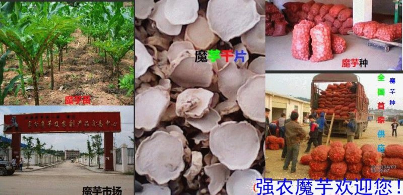 云南花魔芋干片出粉率高价格低周边可以送货上门