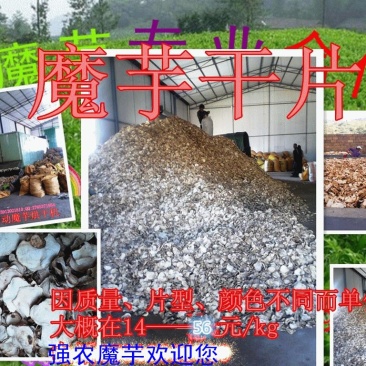 云南花魔芋干片出粉率高价格低周边可以送货上门