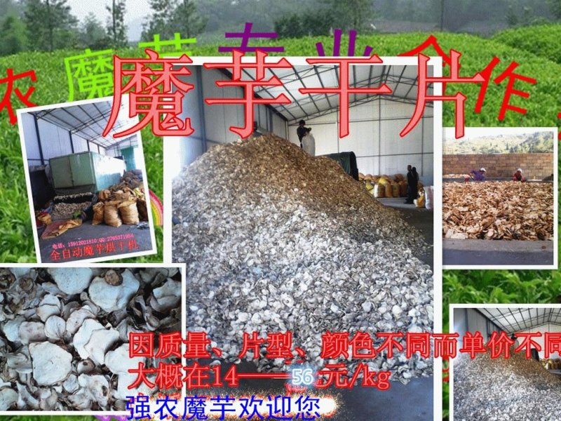 云南花魔芋干片出粉率高价格低周边可以送货上门