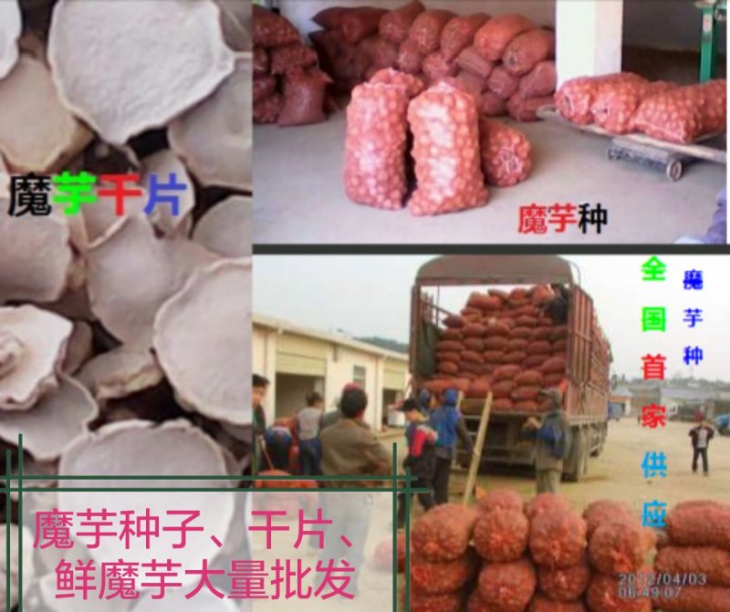 云南花魔芋干片出粉率高价格低周边可以送货上门