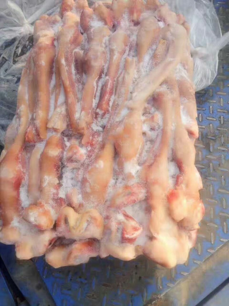 冻品请选购优质驴肉马肉板肠下水