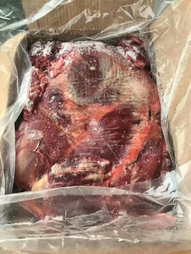 冻品请选购优质驴肉马肉板肠下水