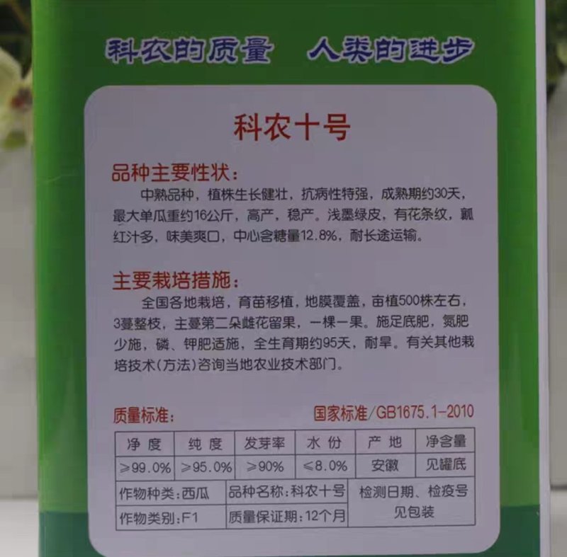 科农西瓜种子育苗场基地用种科农二号十号九号早佳黑皮