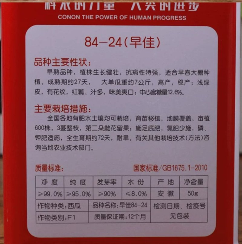 科农西瓜种子育苗场基地用种科农二号十号九号早佳黑皮