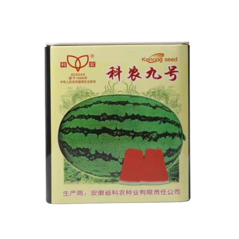 科农西瓜种子育苗场基地用种科农二号十号九号早佳黑皮