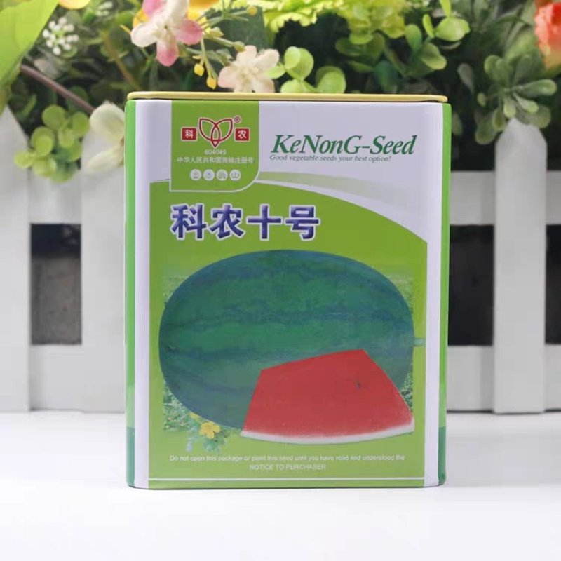 科农西瓜种子育苗场基地用种科农二号十号九号早佳黑皮